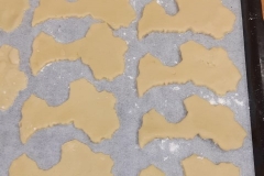 WhatsApp Image 2019-11-14 at 17.49.26 (Small)