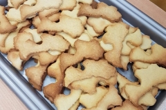 WhatsApp Image 2019-11-14 at 17.49.29 (Small)