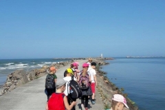 13518281_1064865950215742_1998325219_o (Small)