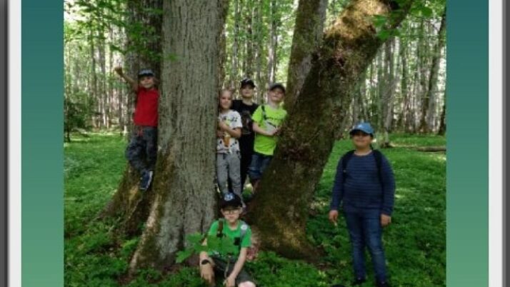 2. klases skolēnu mācību ekskursija “Pļava. Mežs. Purvs.”