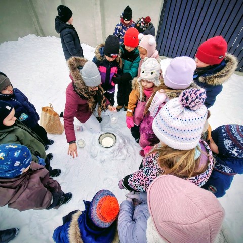 “Bitītes” grupas saldējums